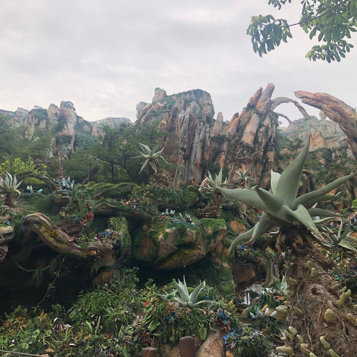 Top Five Line&nbsp;Queues