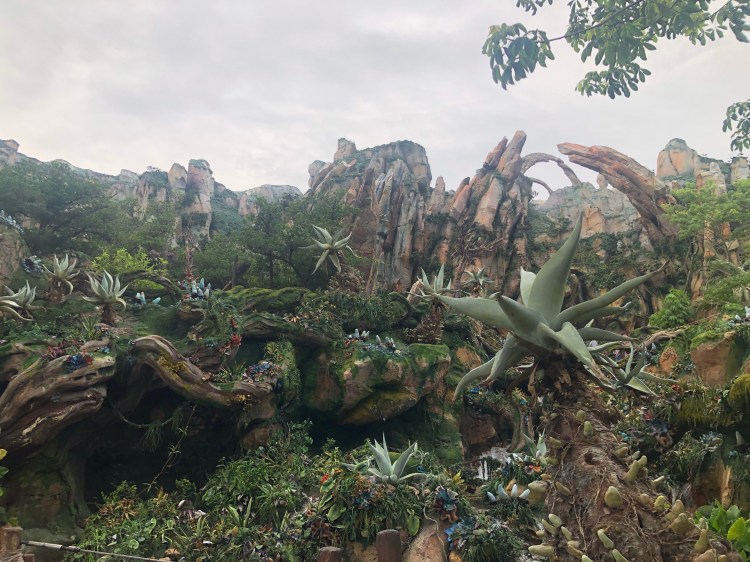 Top Five Line&nbsp;Queues