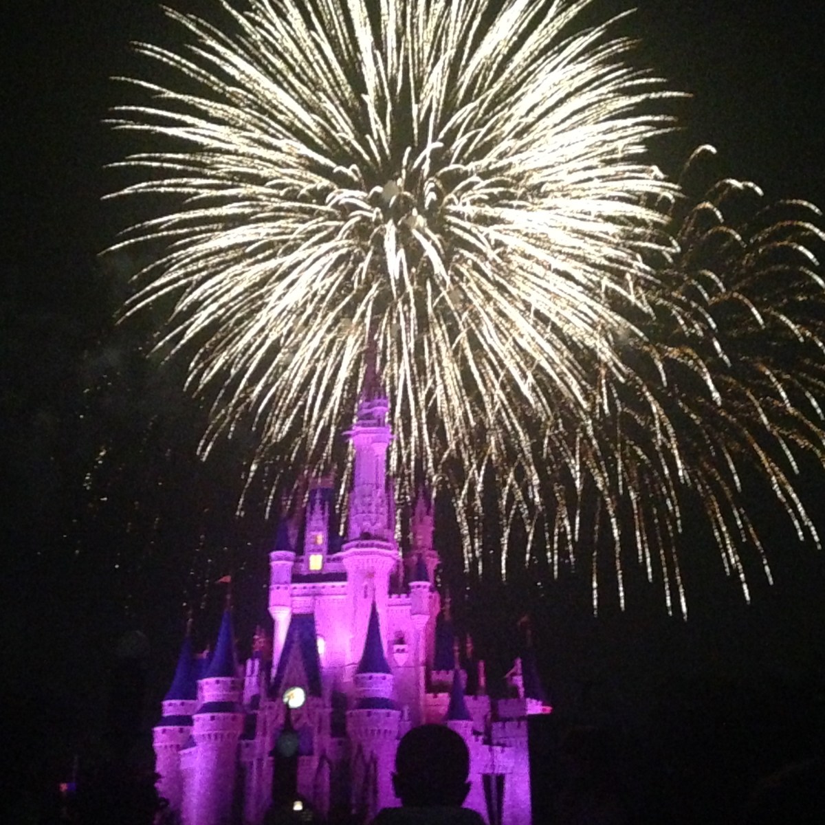 My Favorite Night Time&nbsp;Shows