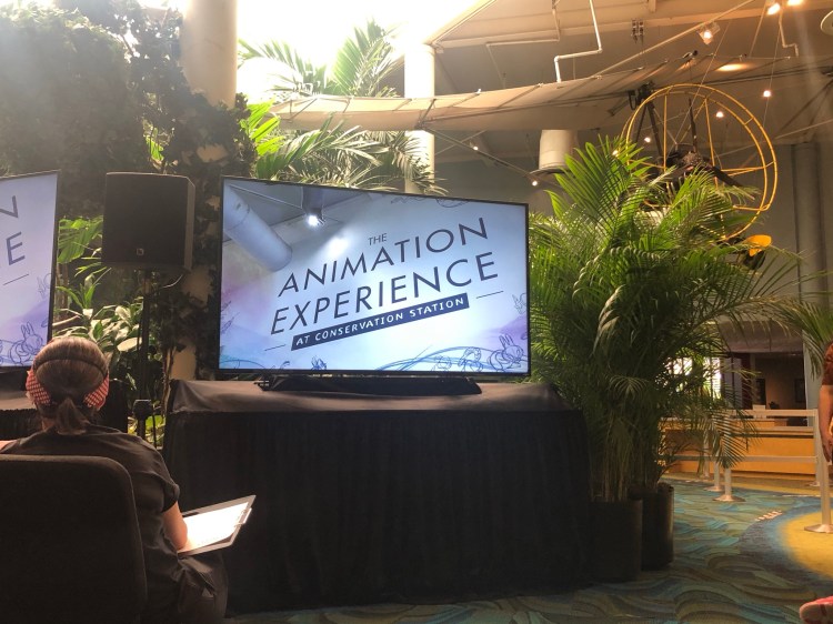 The Animation Experience